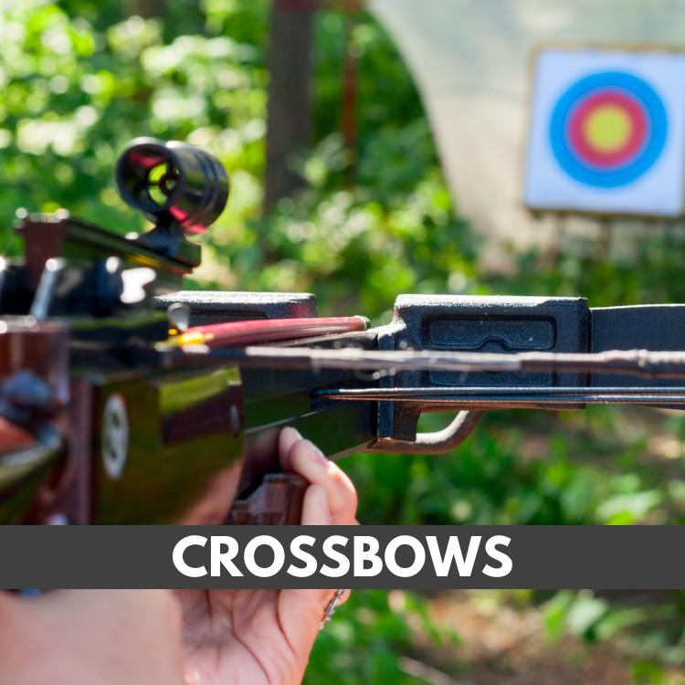 archery