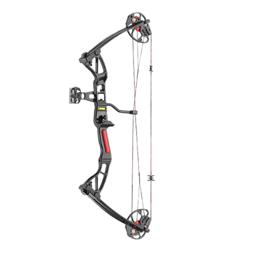 Adult recurve and compound bows