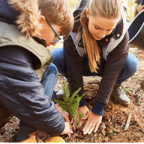 Forest School