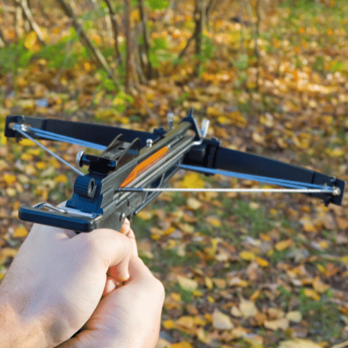 Crossbows